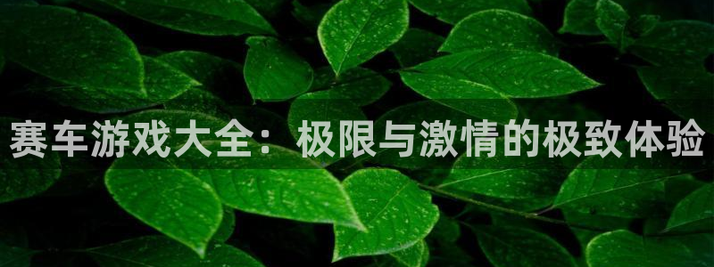赛车游戏大全：极限与激情的极致体验