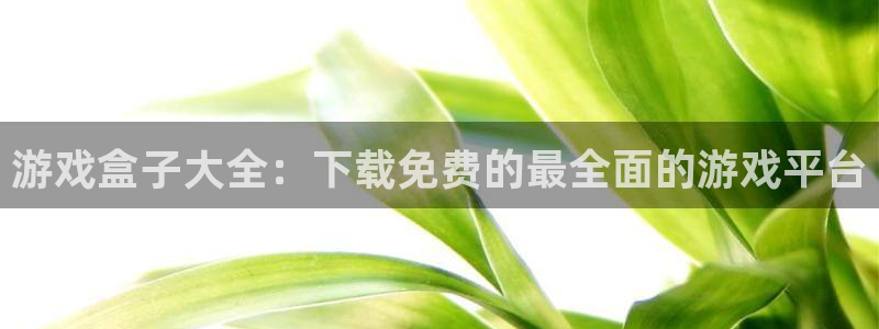 欧陆娱乐平台登陆地址是什么样的：游戏盒子大全：下载免费的最全