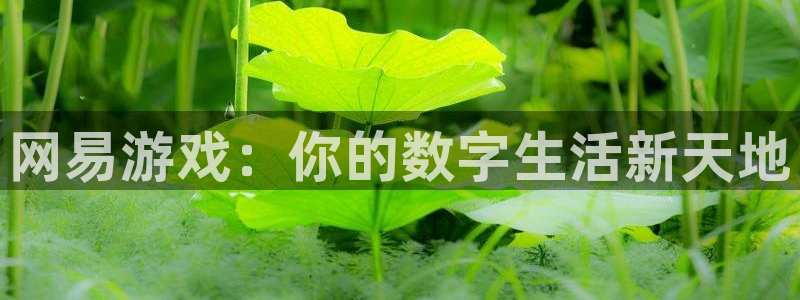 欧陆娱乐人工计划