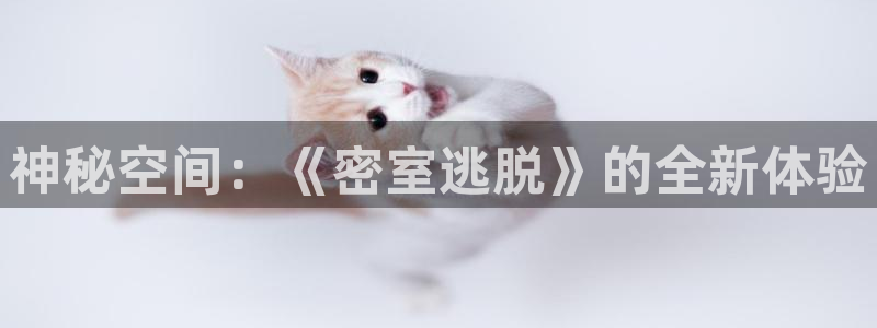 欧陆娱乐官方网站入口