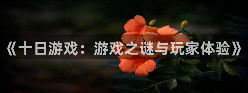 欧陆娱乐平台是否合法?：《十日游戏：游戏之谜与玩家体验》