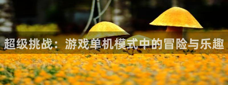 欧陆娱乐充值usdt需要什么条件：超级挑战：游戏单机模式中的